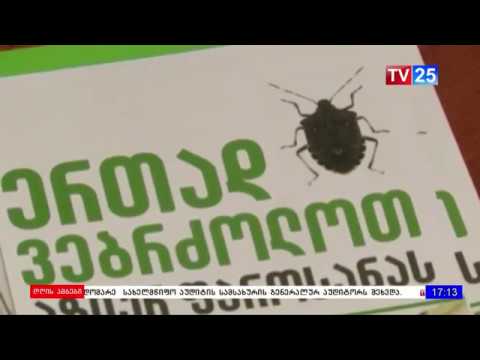 აზიური ფაროსანას წინააღმდეგ ბრძოლა - მოსახლეობის ჩართულობა