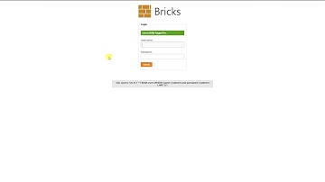 OWASP Broken WEB APP - Bricks  Login form.