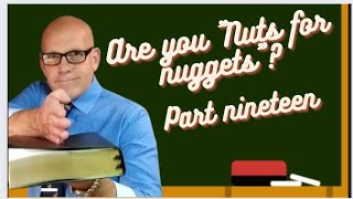 ARE YOU NUTS FOR NUGGETS, PART 19