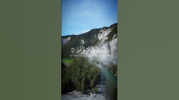 سورة الضحى بصوت الشيخ ماهر المعيقلي #قرآن #اللهم_صل_وسلم_على_نبينا_محمد #راحة_نفسية #الله #quran