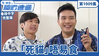 愛.回家之開心速遞|第1009完整版|「死貓」唔易食|劉丹、呂慧儀、單立文、湯盈盈、滕麗名、吳偉豪、張景淳、林淑敏、許家傑|TVB港劇|粵語中字|愛回家經典重溫