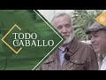 TodoCaballo | "Garrochista", un pura sangre español estrella de las pantallas