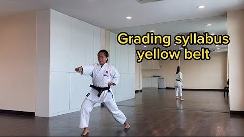 Shotokan yellow belt grading guide
