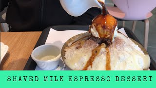 Snowy Village Korean Bingsoo Taiyaki Dessert - Jer Geoff Eat New West Episode 5