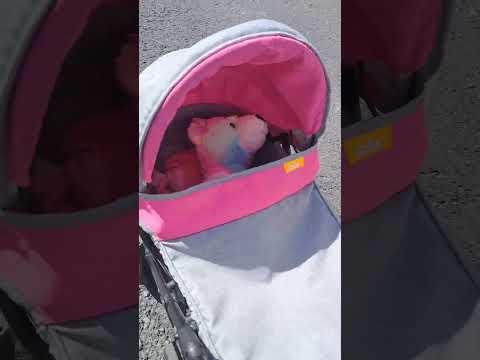 Going for a walk 🚶‍♀️ baby 👶 bear 🐻