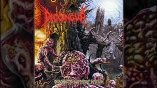 Digging Up - Disseminated Inapparent Infection full album