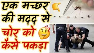 कस एक मचछर क जरए चर क पकड Amazing Facts In Hindi By