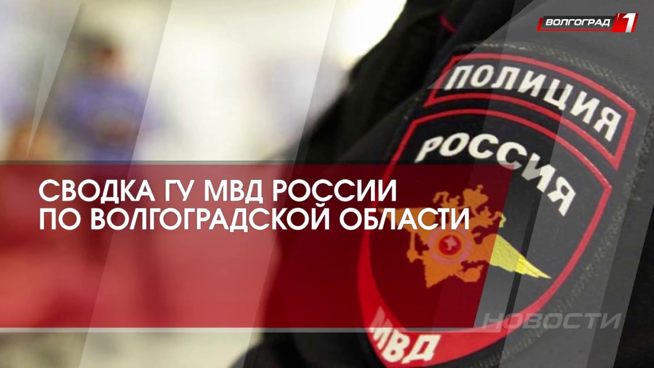 Сводки мвд новые правила коммуникации. Сводка МВД. Пример Сводки МВД. Оперативная сводка МВД образец.