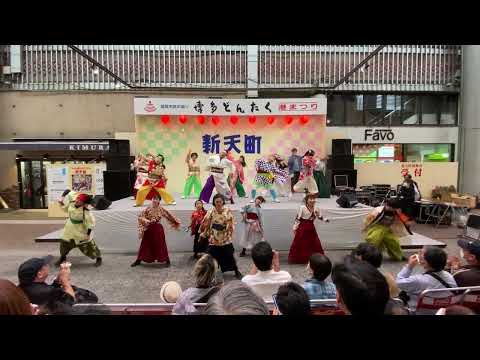 ふくこい踊り隊 [博多どんたく港まつり 2023.05.04(木)]