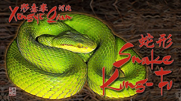 Snake Style Kung-Fu - Xingyi Quan Snake Shape - A Brief Glimpse 形意拳蛇形 #fightingstyles #snakestyle