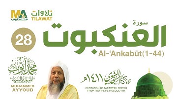 سورة العنكبوت (1-44) من تراويح المسجد النبوي 1411 - الشيخ محمد أيوب