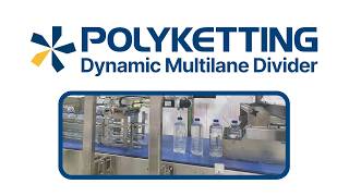 Polyketting Dynamic Multilane Divider - Clever Conveying