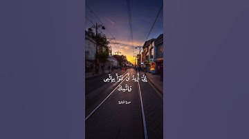 القارئ عبدالبديع غيلان #quran