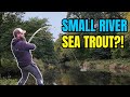 What is this Fish?! 🐋 River Fishing Scotland