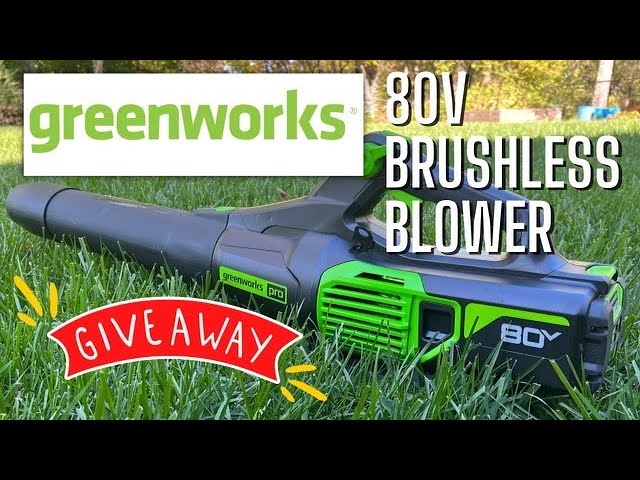 Greenworks 80V Gen 2 780CFM Backpack Blower (1) 4ah Battery