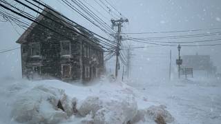 Blizzard Sounds for Sleeping, Relaxing | Winter Storm Ambience | Howling Wind & Blowing Snow