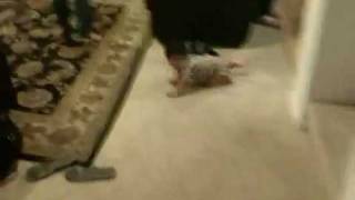 Aadi Crawling
