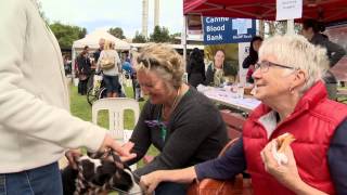 University of Melbourne - Vet Science Open Day 2013