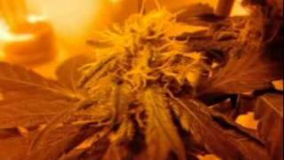 update 3 and a toke
