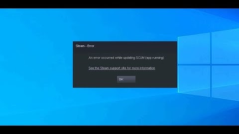 BUG, steam error, scum game startup 2021 07 12 14 52 53