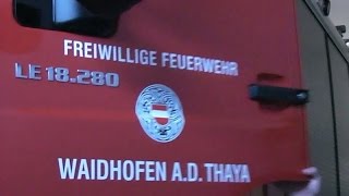 Feuerwehr Waidhofen/Thaya - Rehbock aus Gartenzaun befreit