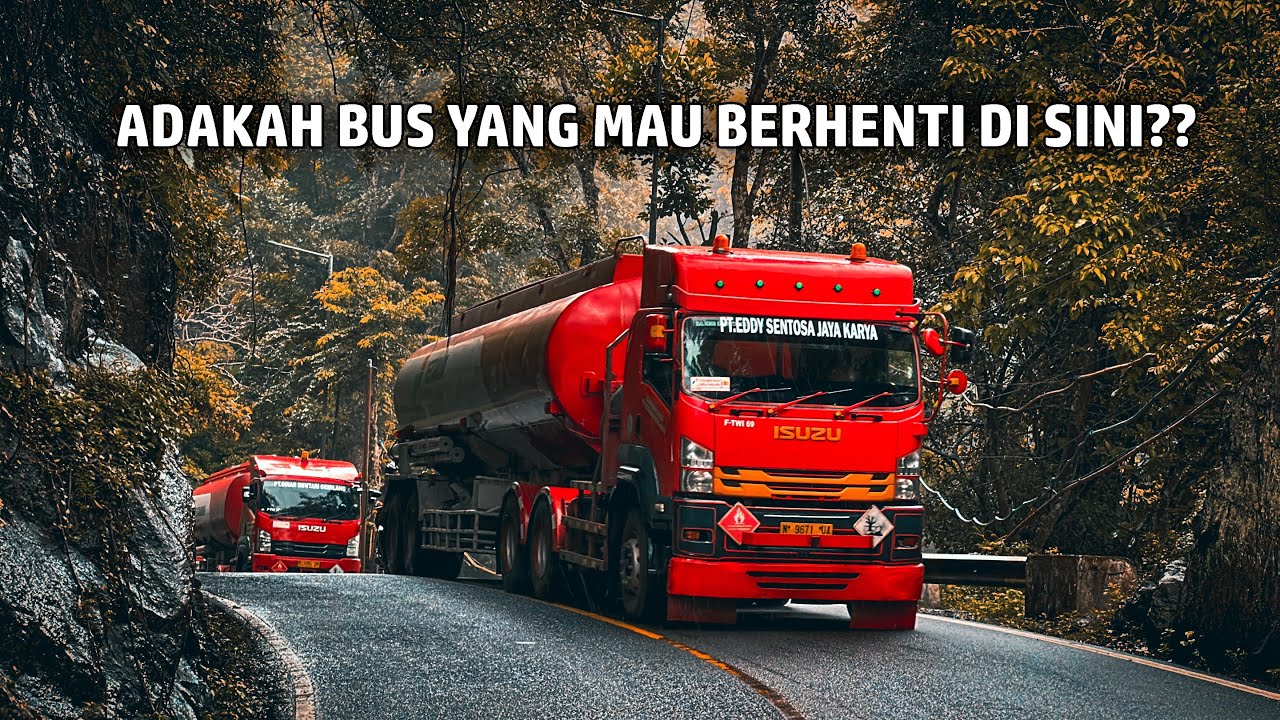 Terjebak di Hutan ALAS GUMITIR, Apakah Bisa Naik Bus dari Sini??
