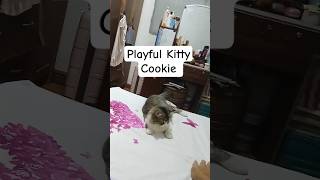 Playful Mode Kitty Cookie