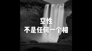201904 空性不是任何一个相51154