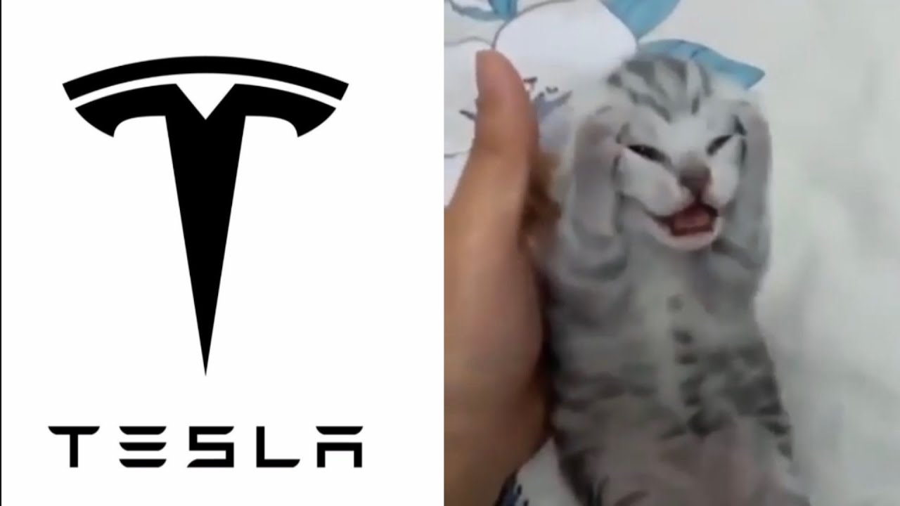 I ranked famous car brands by memes 😅 