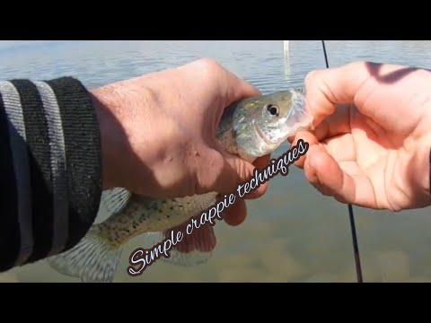 This simple technique catches tons of crappies. 