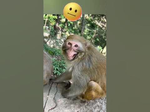 🤡😂клован 😂🤡 - YouTube