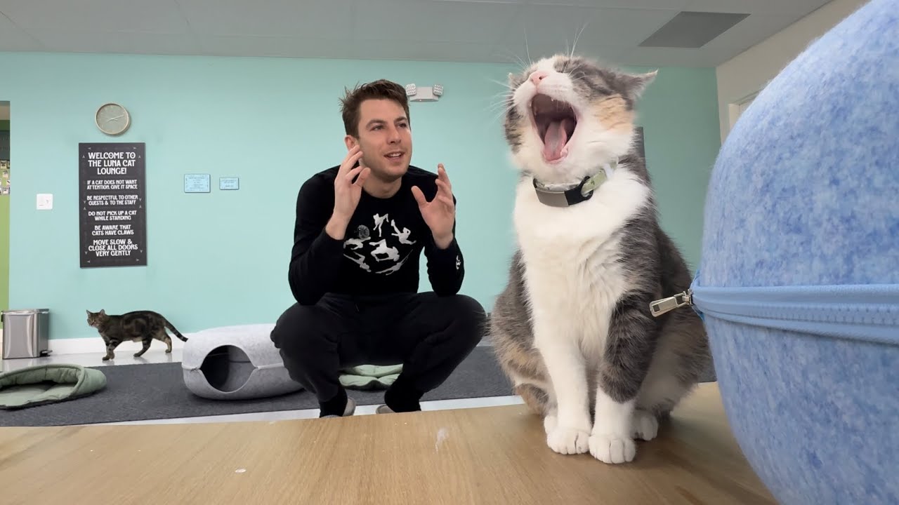 Супербоул против Олимпийских игр | Трюки