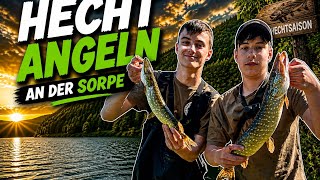 Hechte Angeln an der Sorpe