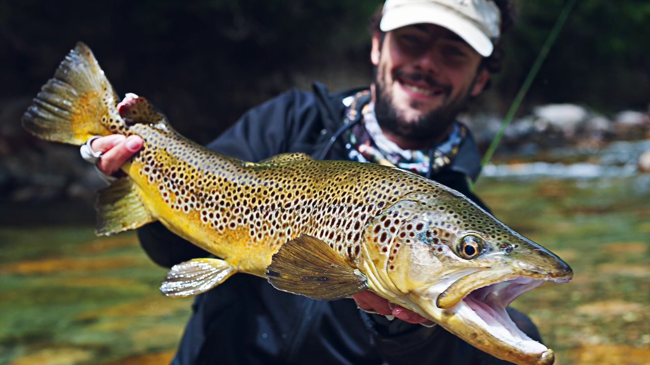 Nymphing – the New Way, French leader fishing for trout 