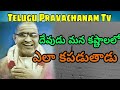 దేవుడు మన కష్టంలో  ఎలా కపడుతాడు || Sri chaganti | Telugu Pravachanam Tv |