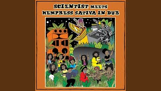 Miniatura del video "Scientist & Hempress Sativa - Revolution Dub"