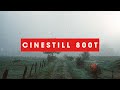 A Roll of Cinestill 800T