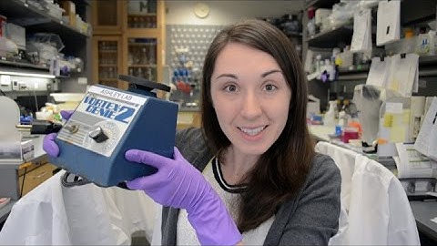 Vortex Mixer | What is this thing?!