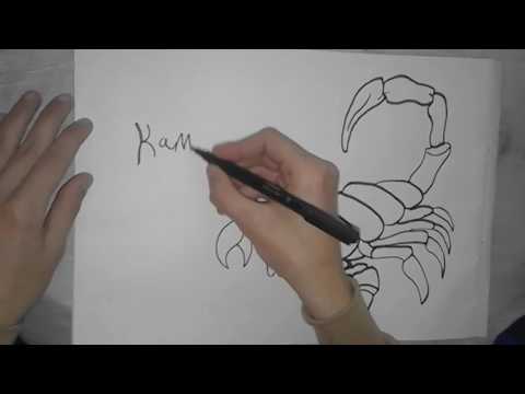 طريقة رسم عقرب بالخطوات ..شاهد وتعلم -How to draw a scorpion by steps
