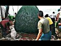 Big Catch Fishing Skills in Sea |amazing big fish catching vessel on the sea 