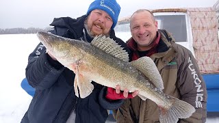 видео: В погоне за толстыми судаками, которые не лезут в лунку. Ловля судака на вибы. картинка: В погоне за толстыми судаками, которые не лезут в лунку. Ловля судака на вибы.