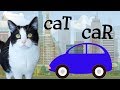 The CAR and the CAT - do we have common relatives?