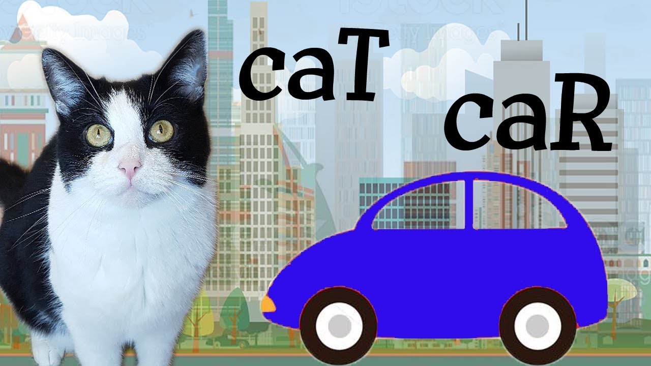 The CAR and the CAT   do we have common relatives