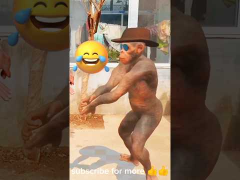 Funny gorilla dance