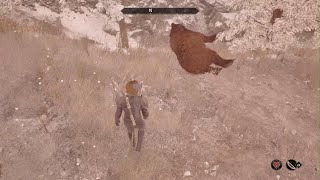 The Elder Scrolls Animals