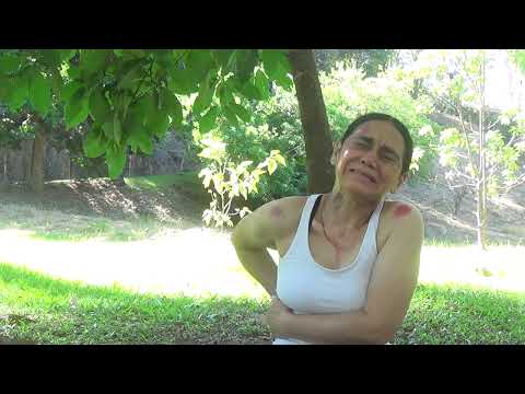 Livre Arbítrio