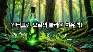 안녕하세요 오늘은 윈터그린 Wintergreen 오일을 소개해드릴게요 #윈터그린 #wintergreen #아로마에센셜오일 #아로마테라피 #아로마오일 #shorts #aroma