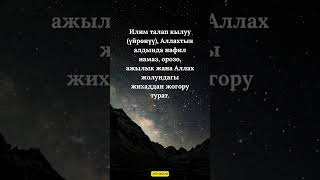 Илим талап кылуу.✨✨✨#quotes #субханаллах #аллах #rek #love #религия #sabr #ислам