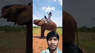 #pncchampionship #papaslam #supcup #primesports #pinnaclesports #proclip #psaworldtour #pcws