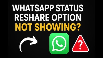 WhatsApp Status Reshare Option Not Showing — Full Fix Explained